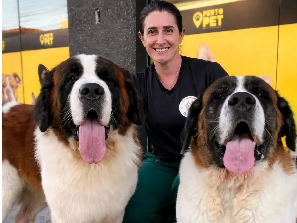 Dra. Michelle Arcuri atendendo um pet na Bicho Mania